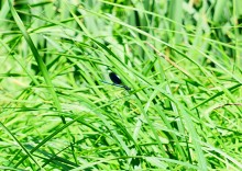 Путешествие по Калитве