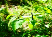 Путешествие по Калитве