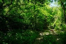 Путешествие по Калитве