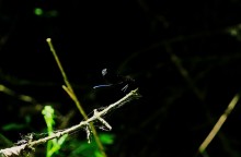 Путешествие по Калитве