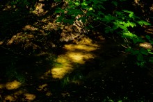 Путешествие по Калитве