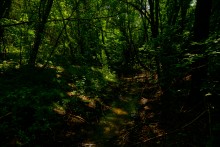 Путешествие по Калитве