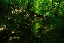 Путешествие по Калитве