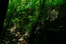 Путешествие по Калитве