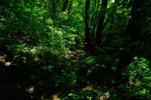 Путешествие по Калитве