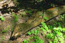 Путешествие по Калитве