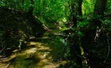 Путешествие по Калитве