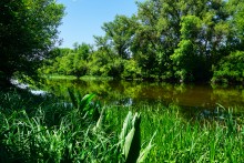 Путешествие по Калитве