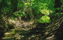 Путешествие по Калитве