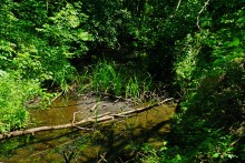 Путешествие по Калитве