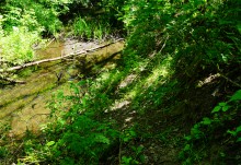 Путешествие по Калитве