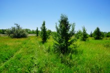 Путешествие по Калитве