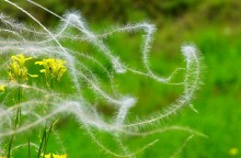 Путешествие по Калитве