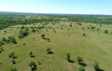 Леса по берегам Северского Донца у хуторов Диченский, Дубовой и Хоботок