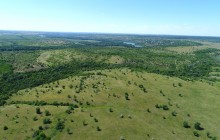 Леса по берегам Северского Донца у хуторов Диченский, Дубовой и Хоботок