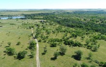 Леса по берегам Северского Донца у хуторов Диченский, Дубовой и Хоботок