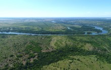Леса по берегам Северского Донца у хуторов Диченский, Дубовой и Хоботок