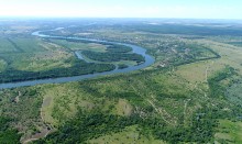 Леса по берегам Северского Донца у хуторов Диченский, Дубовой и Хоботок