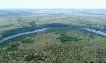 Леса по берегам Северского Донца у хуторов Диченский, Дубовой и Хоботок