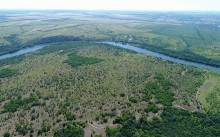 Леса по берегам Северского Донца у хуторов Диченский, Дубовой и Хоботок