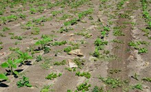 Путешествие по кратеру Каменского метеорита