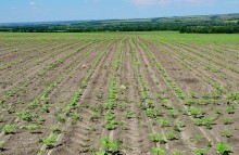 Путешествие по кратеру Каменского метеорита