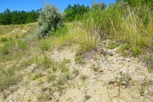 Путешествие по кратеру Каменского метеорита