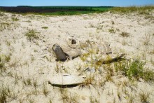 Путешествие по кратеру Каменского метеорита