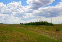 Кундрюченские пески и леса после пожара