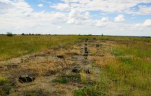 Кундрюченские пески и леса после пожара