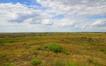 Кундрюченские пески и леса после пожара