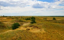 Кундрюченские пески и леса после пожара