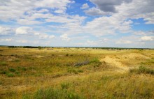 Кундрюченские пески и леса после пожара