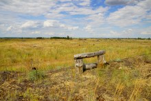 Кундрюченские пески и леса после пожара