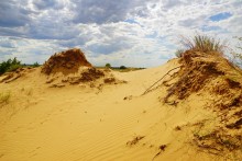 Кундрюченские пески и леса после пожара