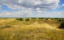 Кундрюченские пески и леса после пожара
