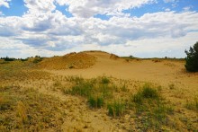 Кундрюченские пески и леса после пожара