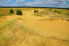 Кундрюченские пески и леса после пожара