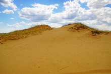 Кундрюченские пески и леса после пожара