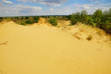 Кундрюченские пески и леса после пожара