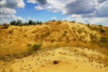 Кундрюченские пески и леса после пожара