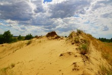 Кундрюченские пески и леса после пожара