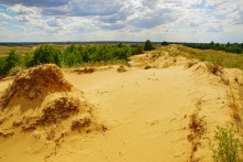 Кундрюченские пески и леса после пожара