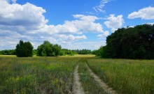 Кундрюченские пески и леса после пожара