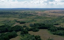 Кундрюченские пески и леса после пожара