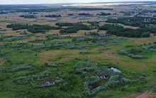 Кундрюченские пески и леса после пожара