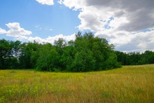 Кундрюченские пески и леса после пожара