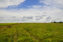 Прогулка по святилищу на поселении Яблоневое-1 на реке Кундрючь