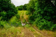 Прогулка по святилищу на поселении Яблоневое-1 на реке Кундрючь