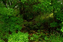 Прогулка по святилищу на поселении Яблоневое-1 на реке Кундрючь